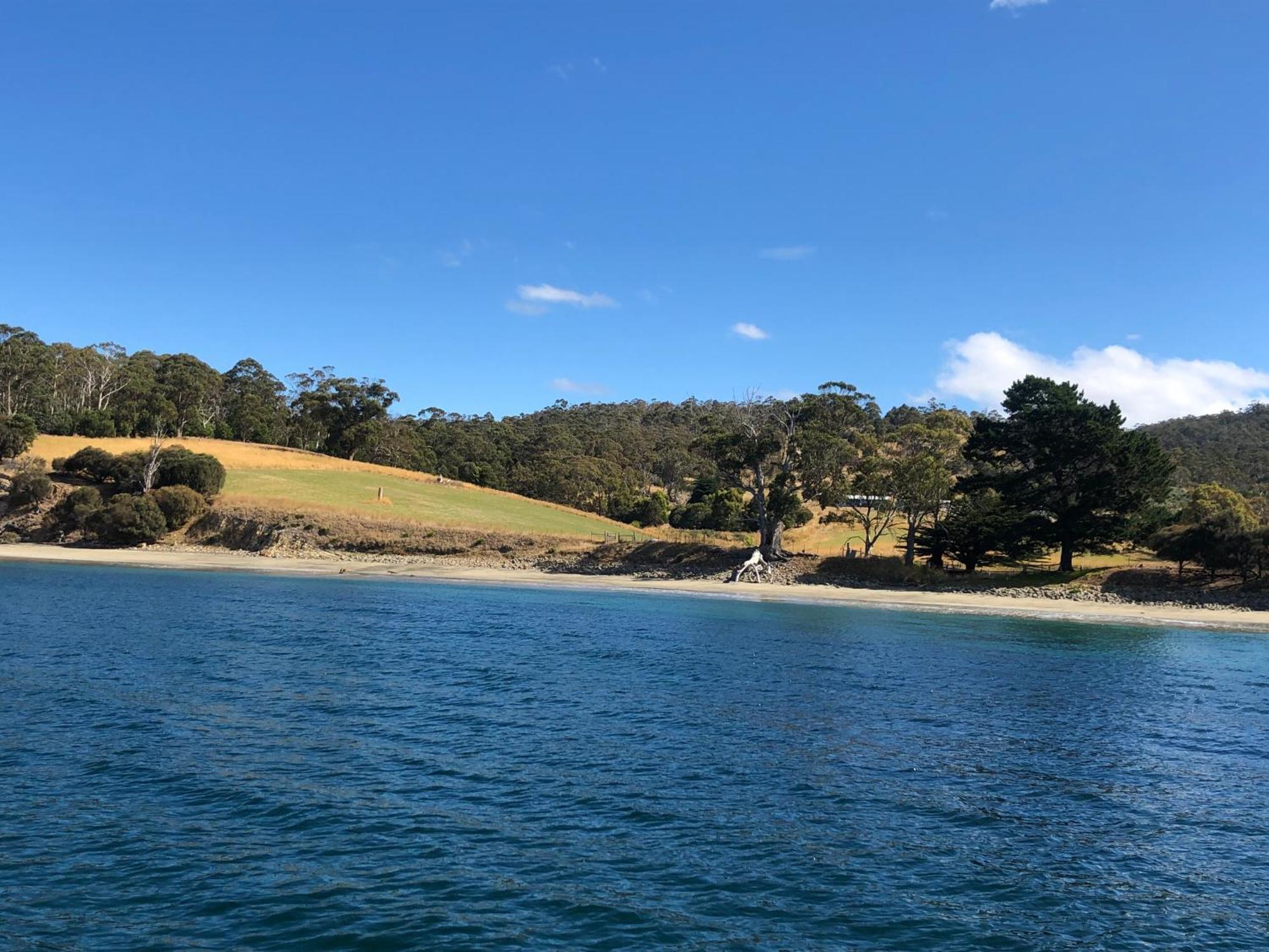 The Woolshed And Farmhouse Blue, Bruny Island Barnes Bay Экстерьер фото